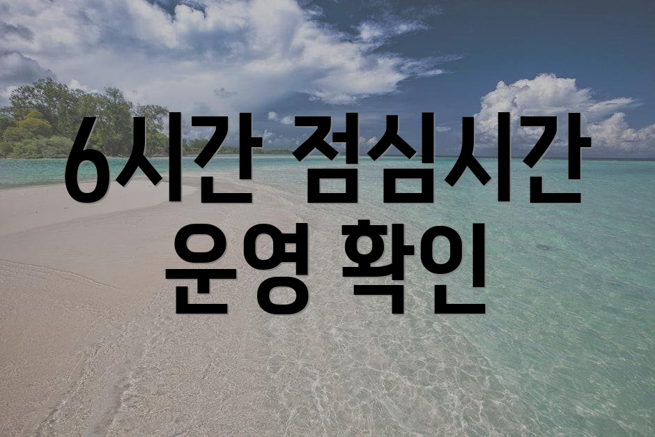 6시간 점심시간 운영 확인