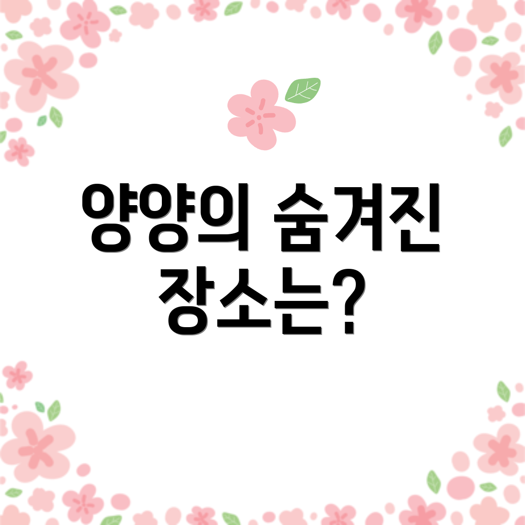 양양의 숨겨진 장소는?