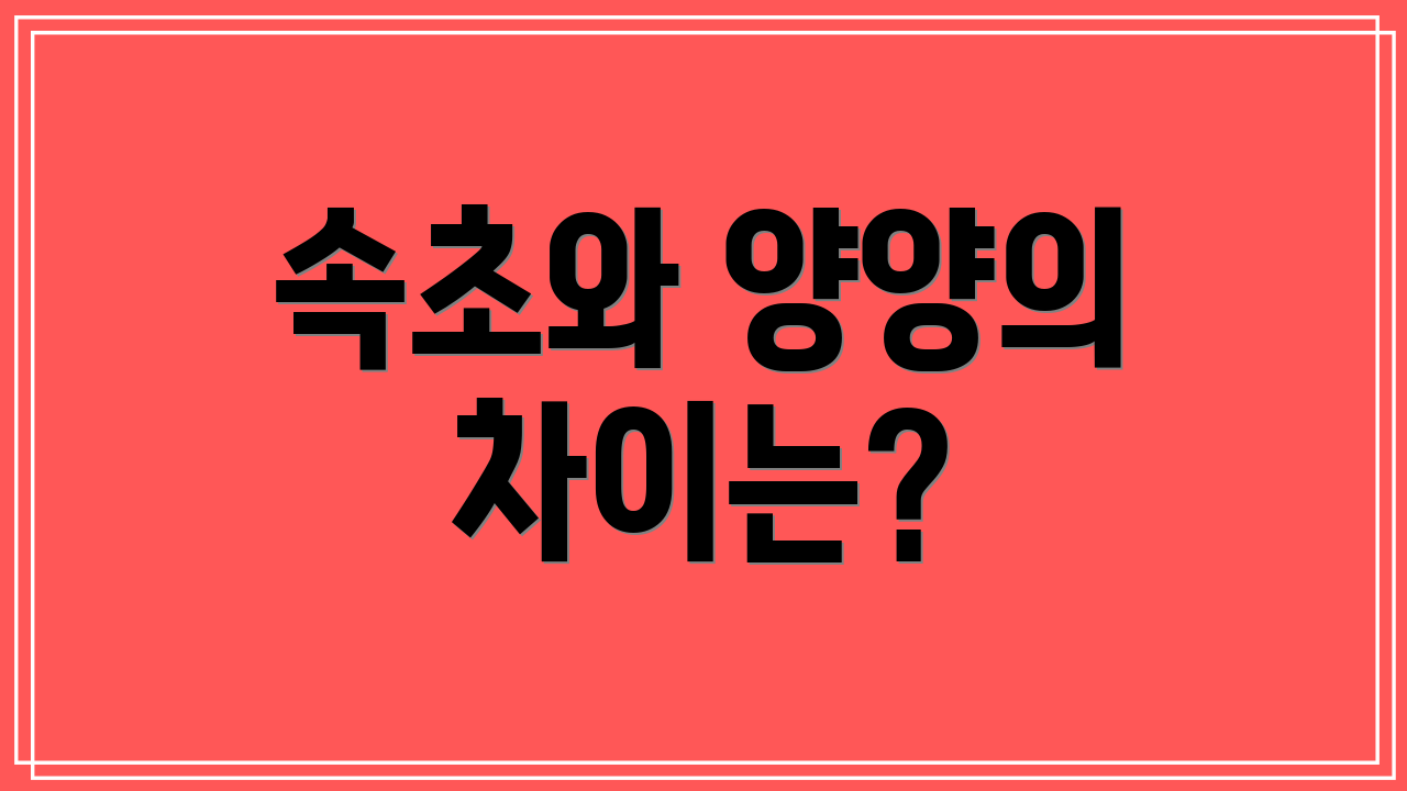 속초와 양양의 차이는?