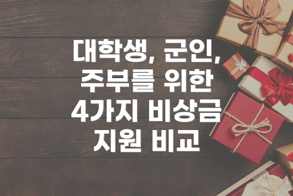 대학생, 군인, 주부를 위한 4가지 비상금 지원 비교