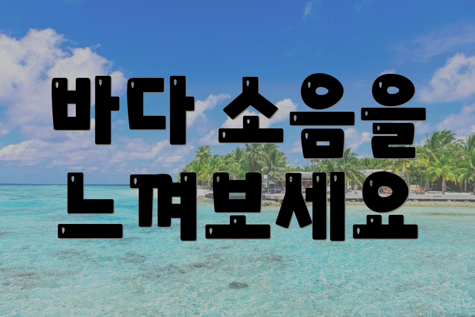 바다 소음을 느껴보세요