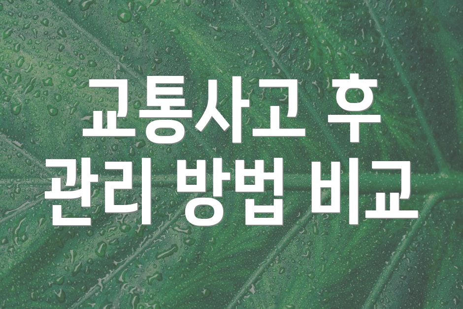 교통사고 후 관리 방법 비교