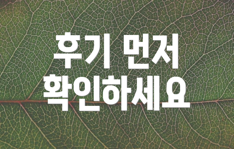후기 먼저 확인하세요