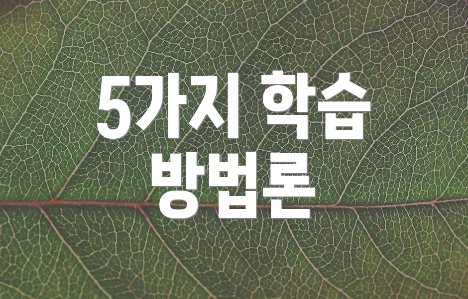 5가지 학습 방법론