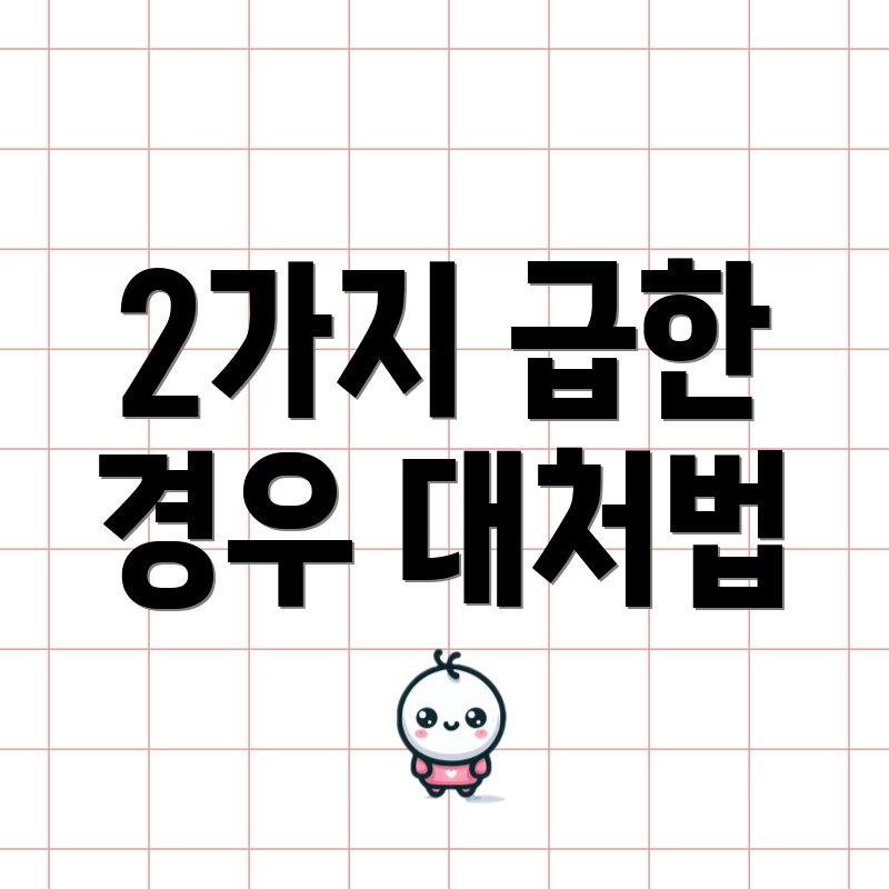 2가지 급한 경우 대처법