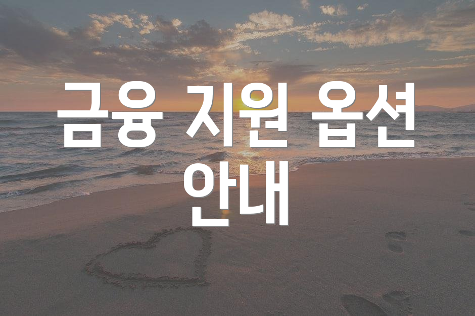 금융 지원 옵션 안내