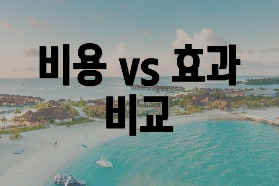 비용 vs 효과 비교