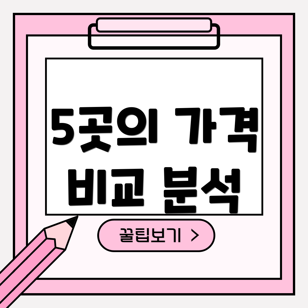 5곳의 가격 비교 분석