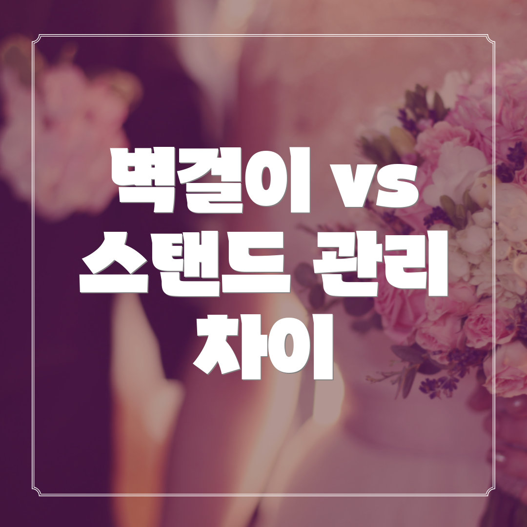 벽걸이 vs 스탠드 관리 차이