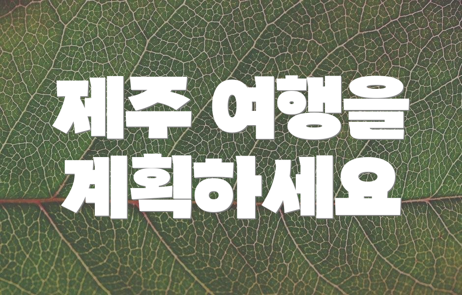제주 여행을 계획하세요