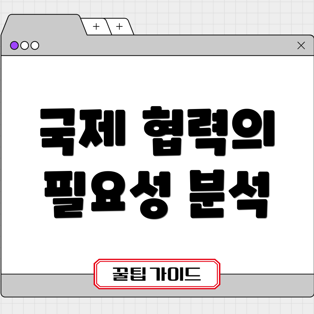 국제 협력의 필요성 분석