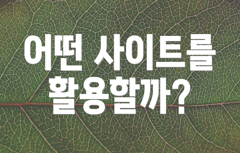 어떤 사이트를 활용할까?