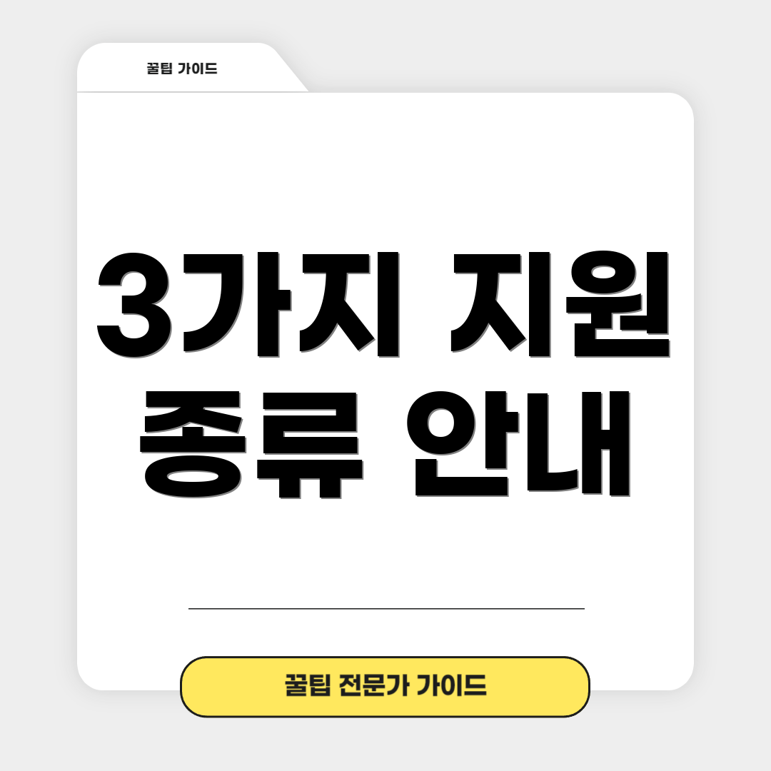 3가지 지원 종류 안내
