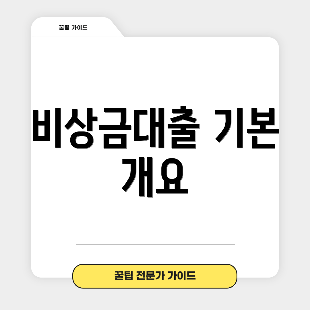 비상금대출 기본 개요