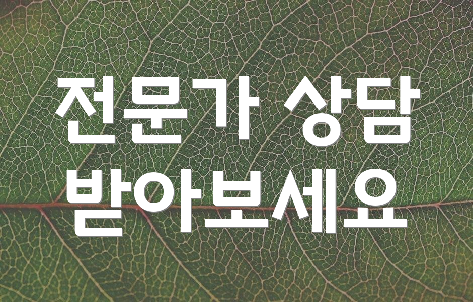 전문가 상담 받아보세요
