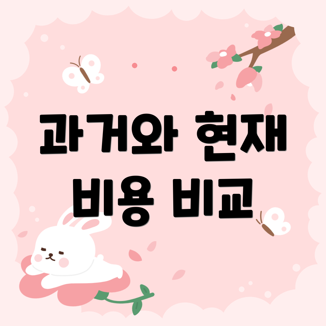과거와 현재 비용 비교