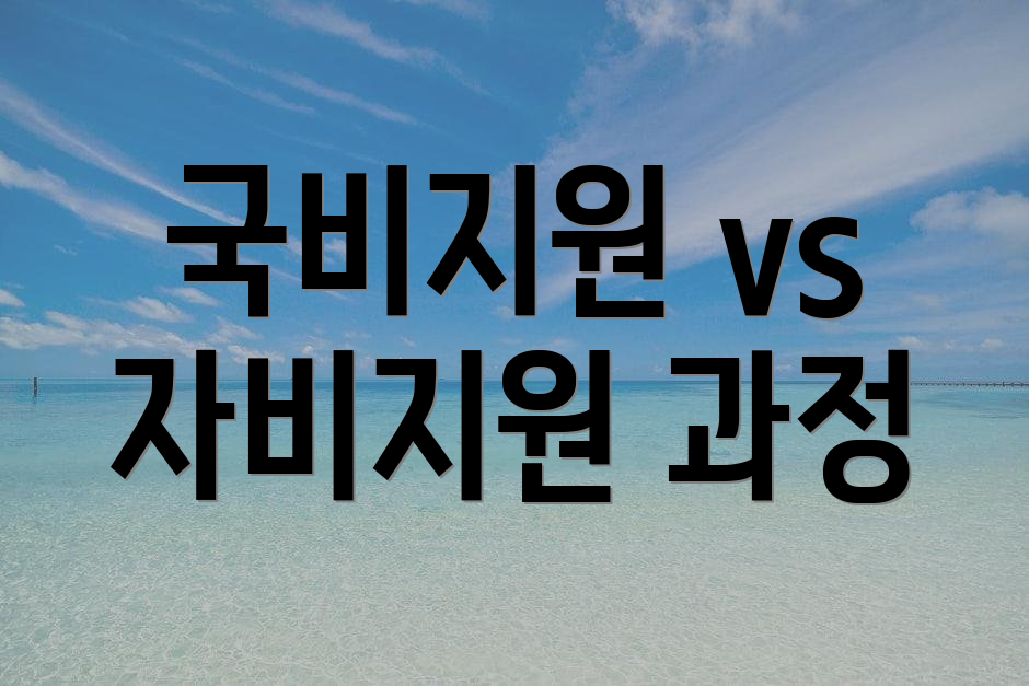 국비지원 vs 자비지원 과정
