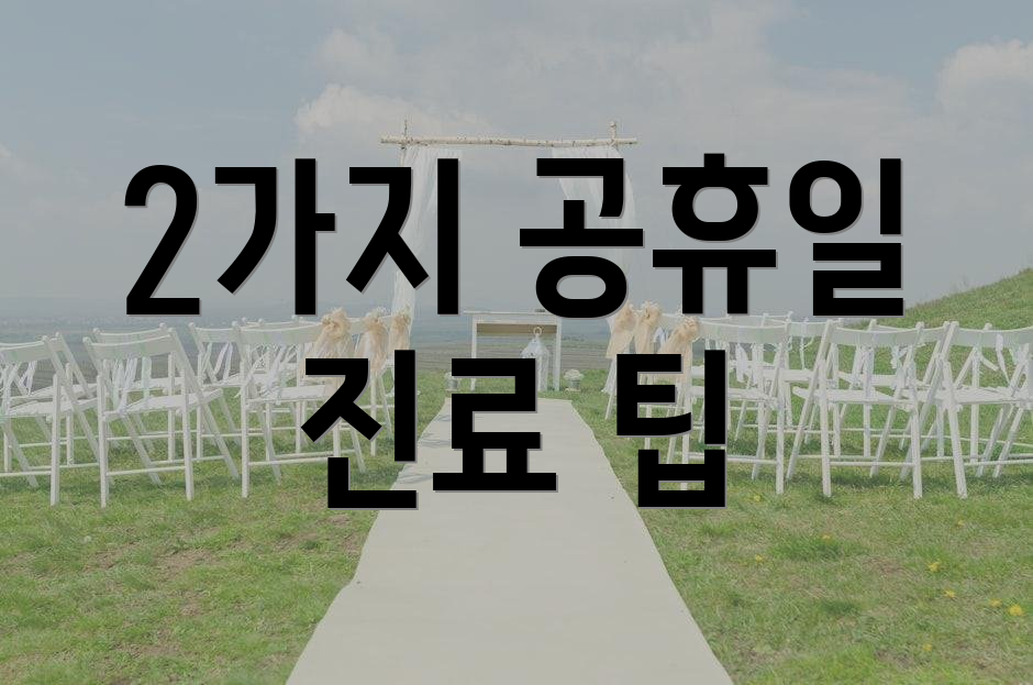2가지 공휴일 진료 팁