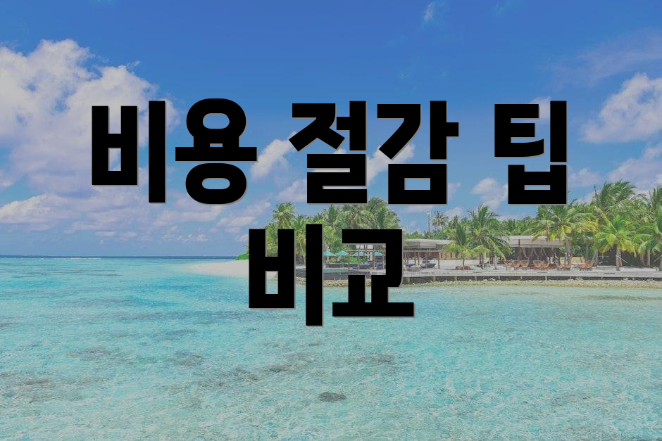 비용 절감 팁 비교