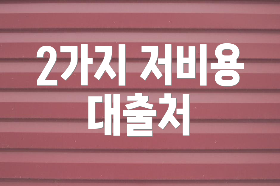 2가지 저비용 대출처
