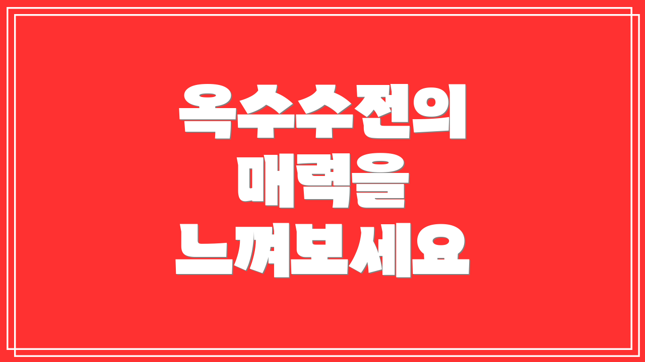 옥수수전의 매력을 느껴보세요