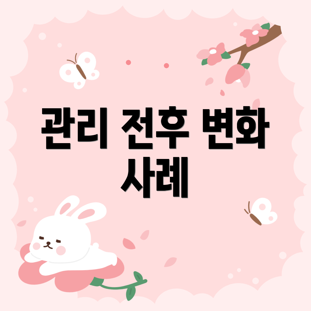 관리 전후 변화 사례
