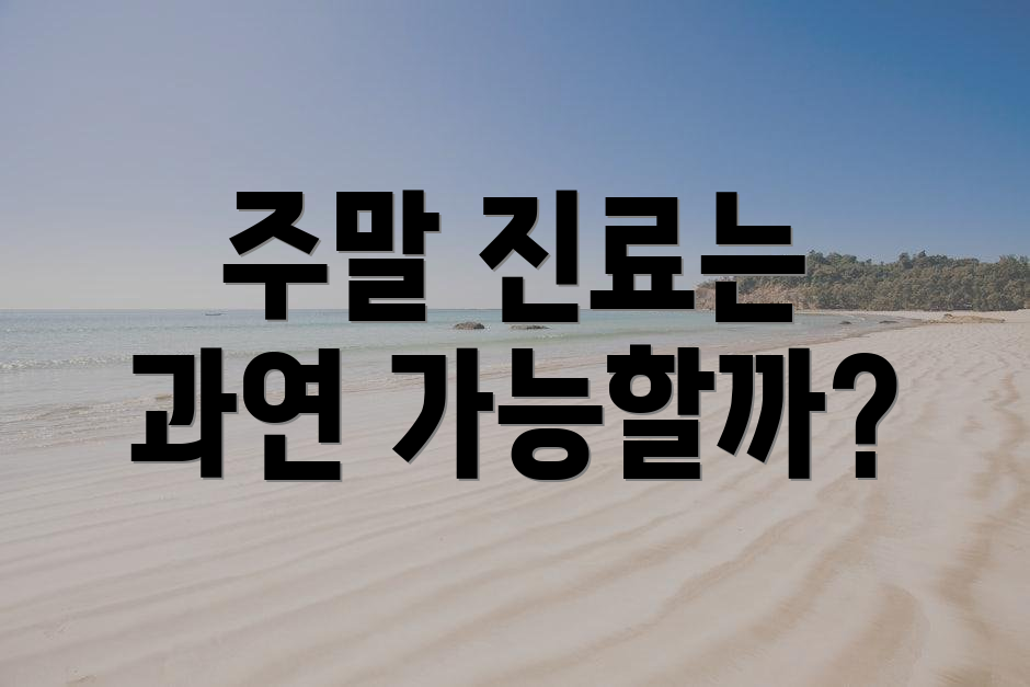 주말 진료는 과연 가능할까?