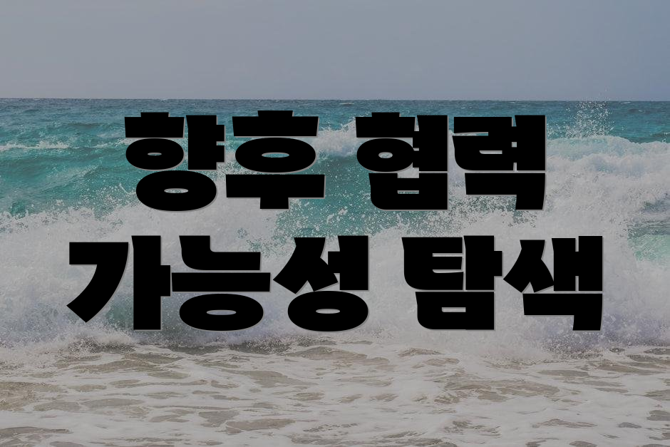 향후 협력 가능성 탐색