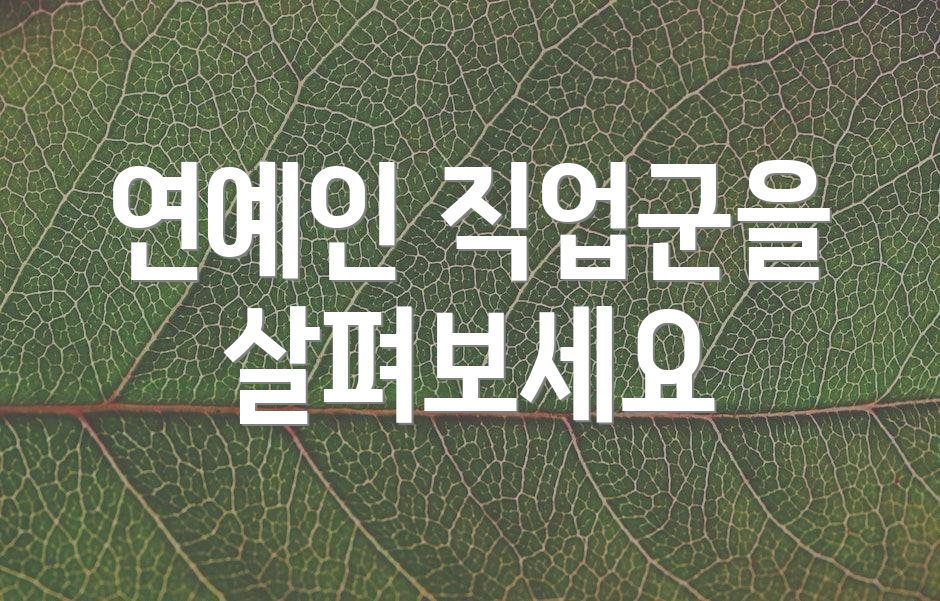 연예인 직업군을 살펴보세요