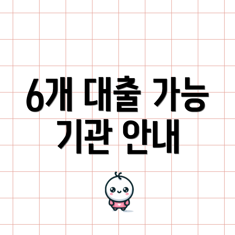 6개 대출 가능 기관 안내