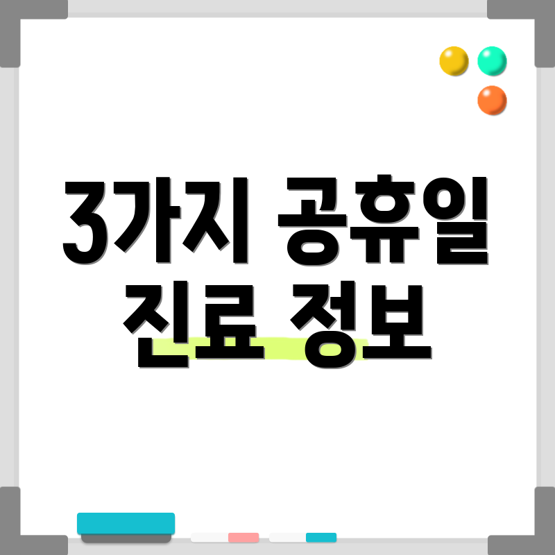 3가지 공휴일 진료 정보